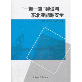 “”建设与东北亚能源安全朴光姬,钟飞腾,李芳主编9787520308809中国社会科学出版社书籍\/杂志\/报纸/经济/中国经济/中国经济史