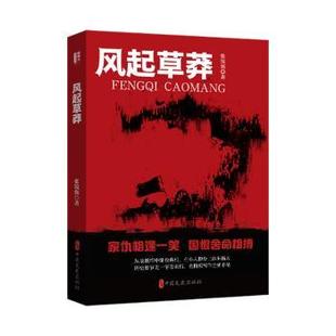 社书籍 现代 杂志 文学 当代文学 报纸 风起草莽张锐强9787520549554中国文史出版