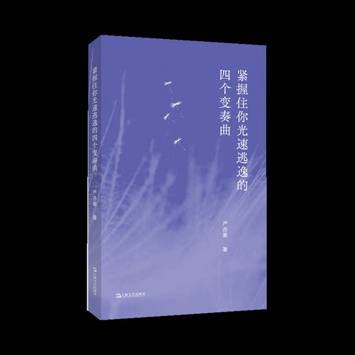 紧握住你光速逃逸的四个变奏曲严亦果著9787532193608上海文艺出版社书籍\/杂志\/报纸/文学/文学