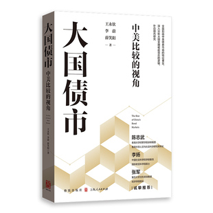 报纸 税收 李蔚 货币 财政 经济 杂志 社书籍 薛笑阳9787543234147格致出版 视角王永钦 大国债市：中美比较