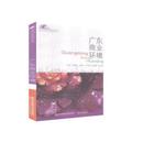 走向国际系列丛书孔韬 报纸 孔繁正9787565436802东北财经大学出版 杂志 管理 社有限责任公司书籍 广东商业环境