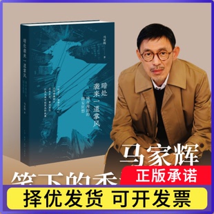 暗处袭来一道掌风马家辉|9787108080660三联书店书籍\/杂志\/报纸/文学/现代/当代文学