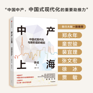经济 中产上海李成 报纸 杂志 经济理论 林华9787521765366中信书籍