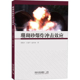 珊瑚砂冲击效应邱艳宇,王建平,赵章泳9787576502138同济大学出版社有限公司书籍\/杂志\/报纸/工业/农业技术/冶金工业