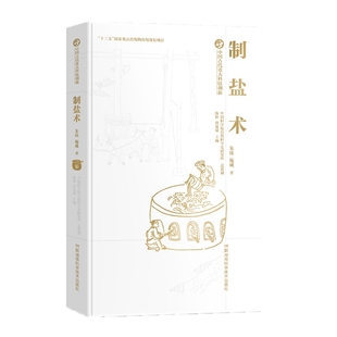 制盐术施威朱珠9787571005283湖南科学技术出版 自然科学 社书籍 报纸 科普读物 杂志 中国古代重大科技创新