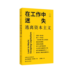 在工作中迷失:逃离[英]阿梅利亚·霍尔根9787532191956上海文艺出版社书籍\/杂志\/报纸/自我实现/励志/成功