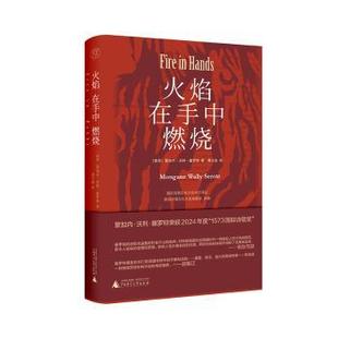 南非 报纸 蒙加内·沃利·塞罗特9787559872869广西师范大学出版 杂志 文学 社集团有限公司书籍 火焰在手中燃烧