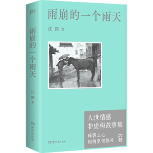 社书籍 杂志 报纸 雨崩 现代 著9787572620805湖南文艺出版 文学 当代文学 一个雨天沈颢