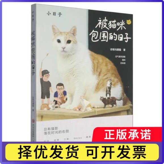 被猫咪包围的日子志铭与狸猫|9787573635402青岛书籍\/杂志\/报纸/自然科学/自由组套（仅限弱关联套装书）