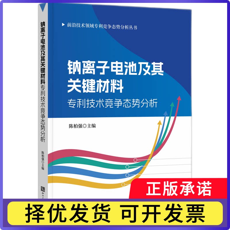 钠离子电池及其关键材料专利技术竞争态势分析陈柏强9787513097697知识产权书籍/杂志/报纸/法律/司法案例/实务解析