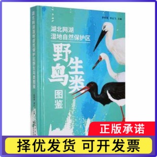 湖北网湖湿地自然保护区野生鸟类图鉴(精)李明璞，李云飞主编9787570613854湖北科学技术出版社