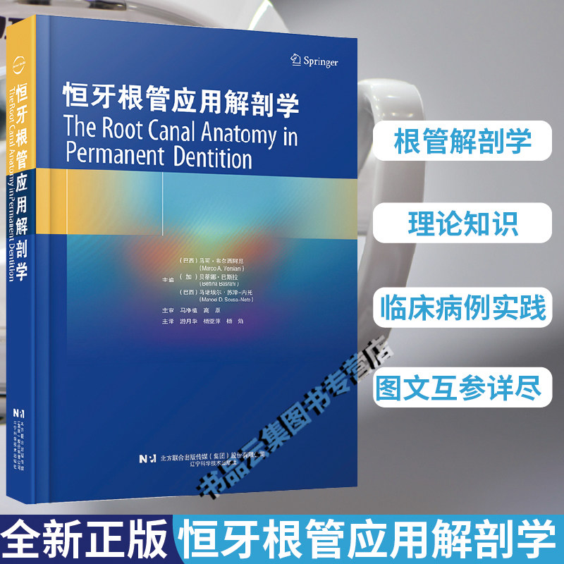 恒牙根管应用解剖学 牙体牙髓根管解剖根管清理牙髓治疗并发症的处理口腔科学书籍牙科牙髓治疗根管治疗图谱牙体牙髓病学口腔临床