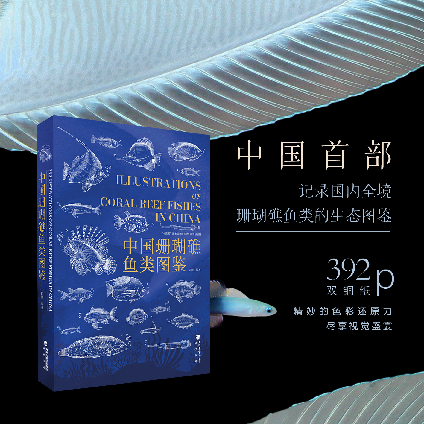 正版 中国珊瑚礁鱼类图鉴 陈骁 海洋界的藏狐 海洋生态系统 4目63科238属国内全境珊瑚礁鱼类的生态图鉴海峡书局