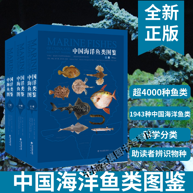 官方正版 中国海洋鱼类图鉴 刘敏邵广昭薛绮雯陈骁著 超4000种鱼类海洋生态科普百科图鉴海域生物多样性 海峡书局