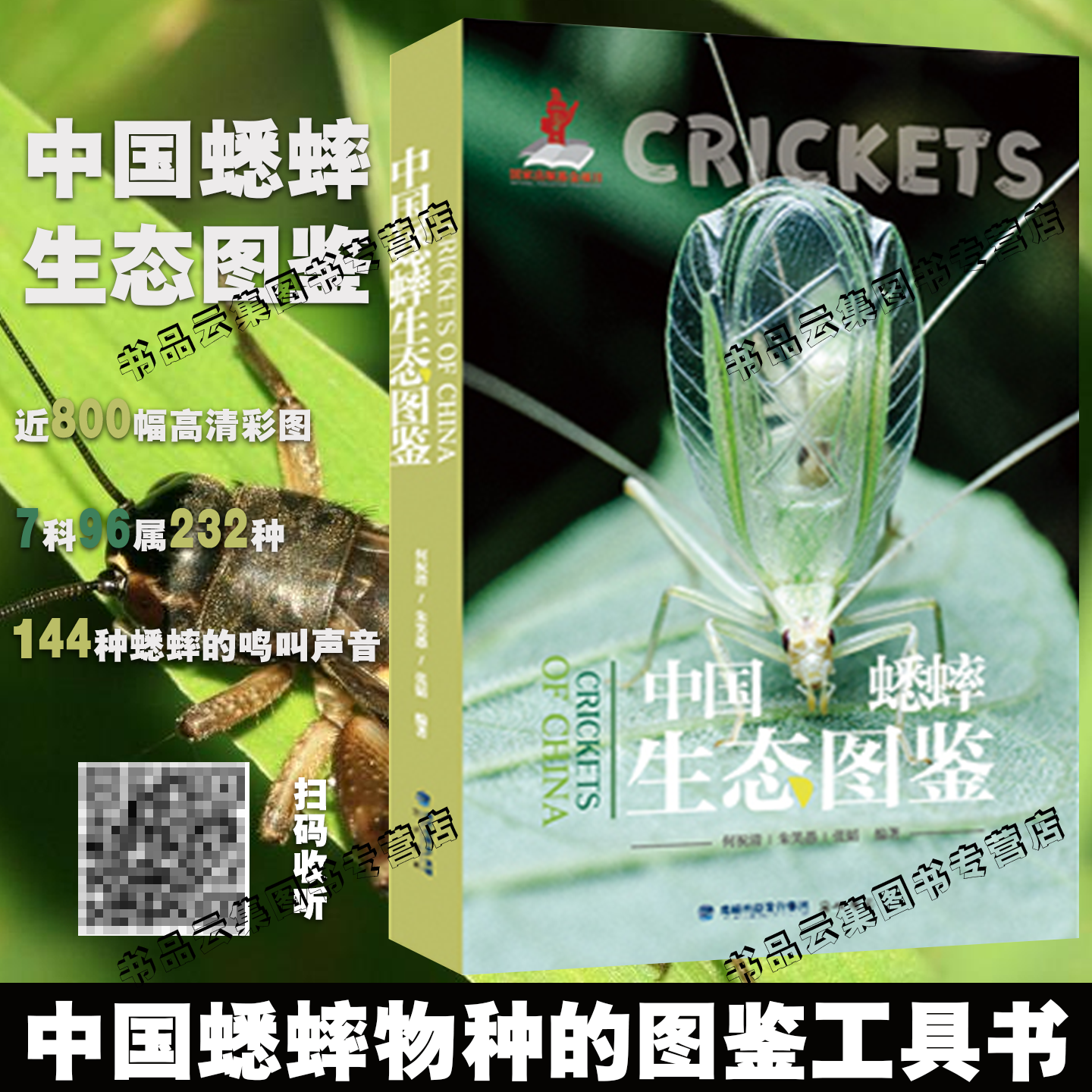 现货正版 中国蟋蟀生态图鉴 何祝清，朱笑愚，张韬 海峡书局 中国蟋蟀物种的多样性 蛐蛐昆虫自然科普教育著作蟋蟀图鉴工具书
