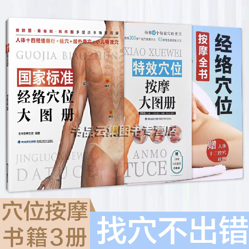 国家标准穴位按摩大图册特效穴位单桂敏艾灸针灸中医养生人体经络 女性经络穴位按摩 推拿按摩书籍大全养生书籍人体经络穴位图解书