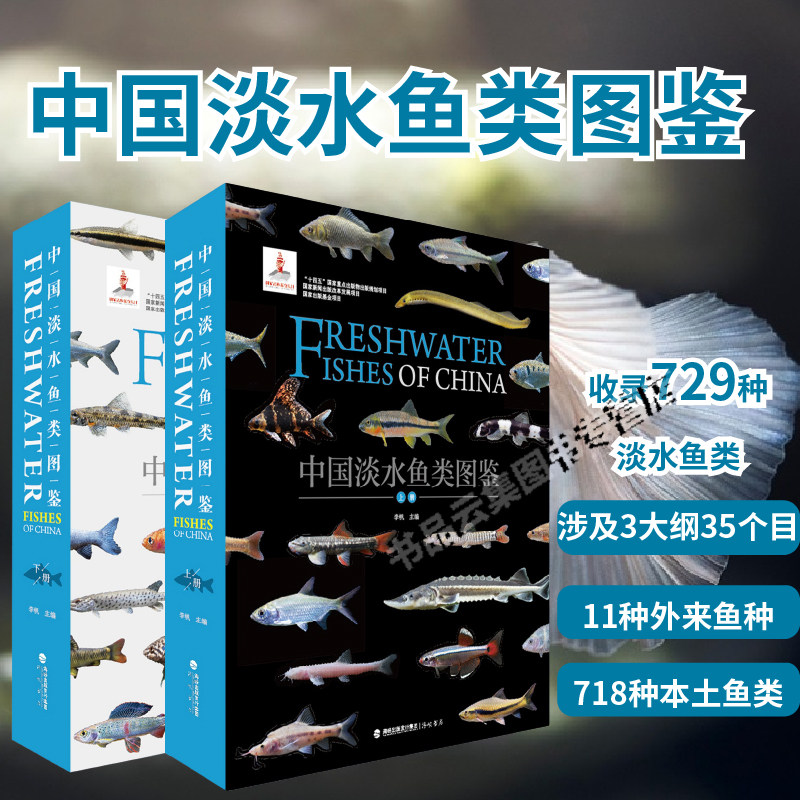官方正版 中国淡水鱼类图鉴 李帆 收录700多种淡水鱼类物种分析活体拍摄2000张仿生图片海峡书局 中国淡水鱼类百科全书