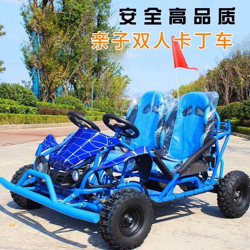 广场户外汽油电动单双人