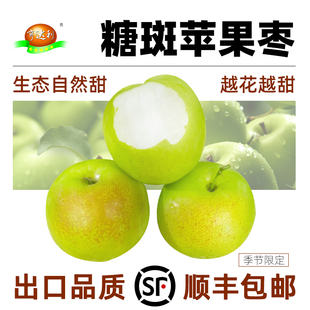 现摘花斑枣 福建糖斑苹果枣冰糖新鲜水果牛奶大青枣应季 顺丰 包邮