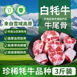 天祝白牦牛牛尾骨3斤装原切整根切块生牛肉牛尾巴生鲜冷冻食材