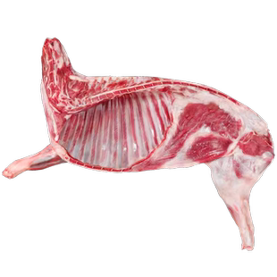 羊肉新鲜半只羊8斤乳羔羊生羊肉羊腿羊排羊蝎子火锅年货礼盒