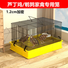 首单直降芦丁鸡观赏笼专用鸡笼子饲养箱育雏家用养殖小黄鸭柯尔鸭