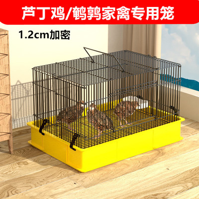 芦丁鸡笼子防喷溅好清理