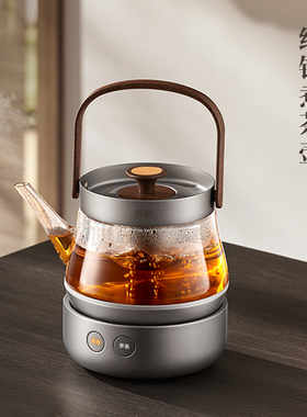 迈丰丨智蔚纯钛煮茶壶电茶壶萃煮壶恒温静音白茶普洱玻璃煮茶器