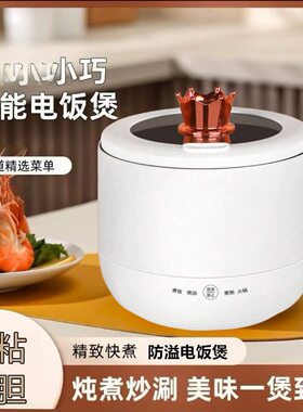 电饭煲全自动一体单人小饭煲家用韩式电饭锅学生宿舍电热煮锅