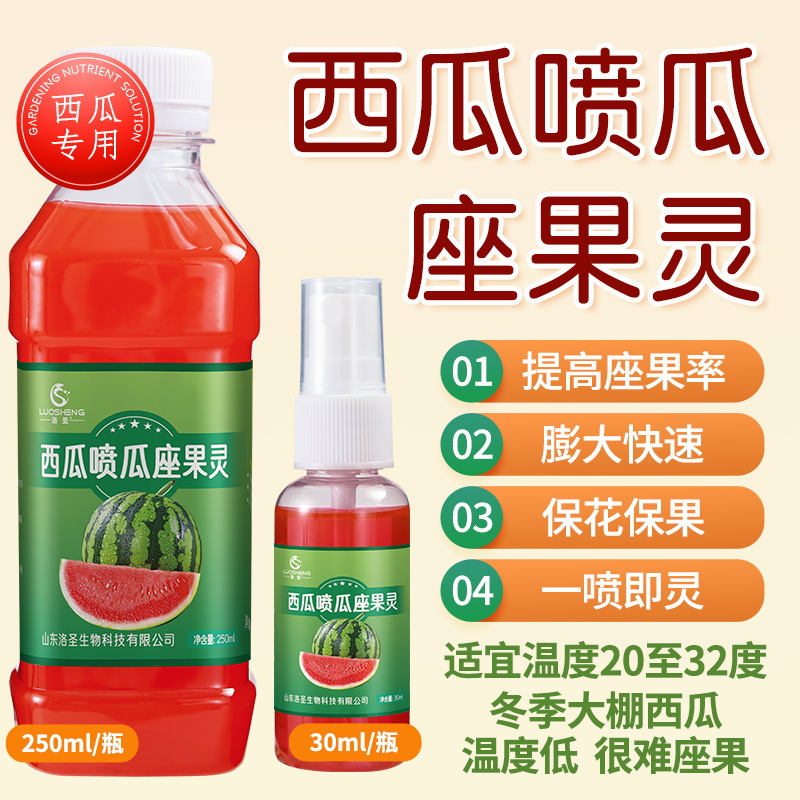 西瓜喷瓜座果灵快速膨果增产专用