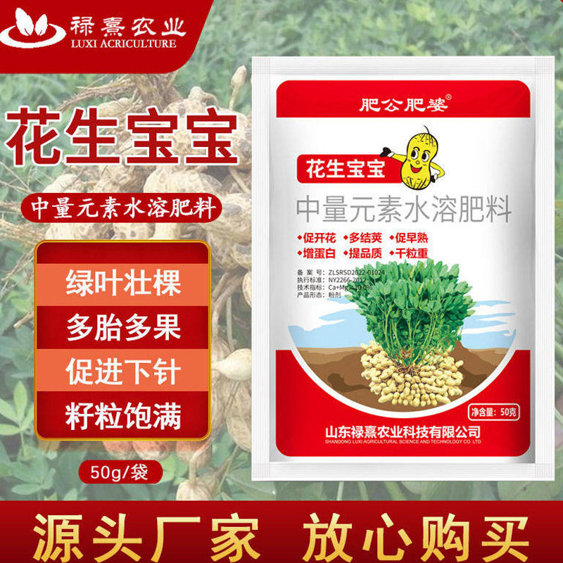 肥公肥婆花生宝宝花生粒粒饱满绿叶壮棵颗粒饱满加强型花生专用肥
