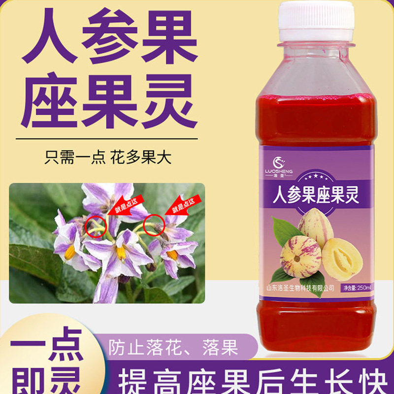 人参果座果灵花多果大防止落果有效预防畸形果强力座果人参果专用