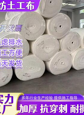 300g土工布工程布国标土工布绿化护坡加筋公路养护白色土工布