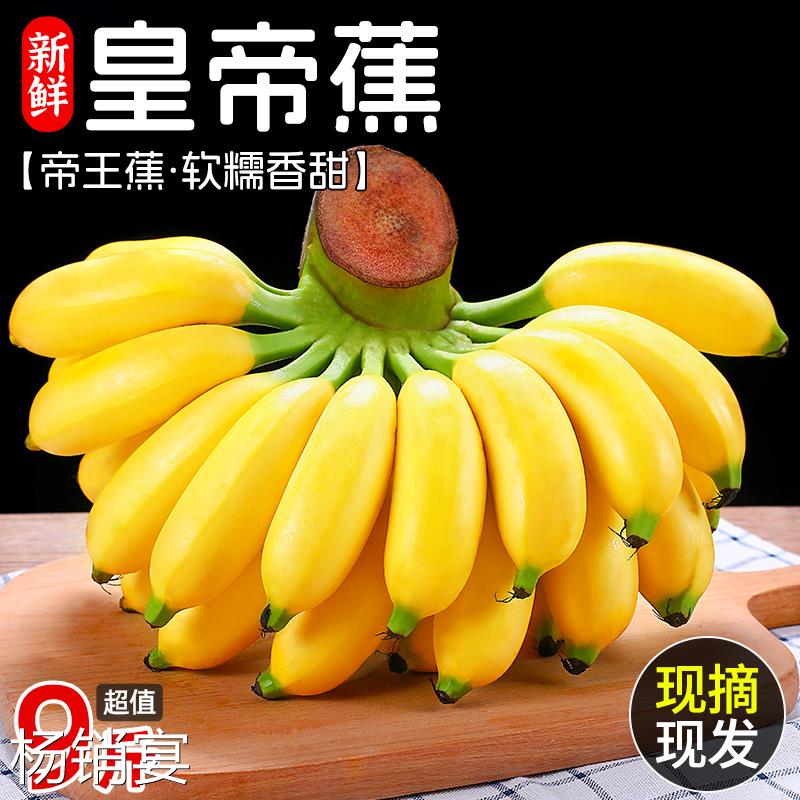 新鲜香蕉正宗皇帝蕉帝王蕉当季水果小米蕉整箱9斤绿芭蕉心粉5包邮