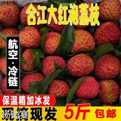 四川泸州合江新鲜冰冻荔枝大红袍5斤现摘现发新鲜水果妃子笑带绿