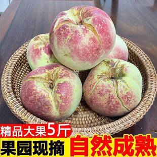 山东丑桃爆炸桃脆桃新鲜水果裂口裂纹映霜红冬桃现货应季整箱5斤