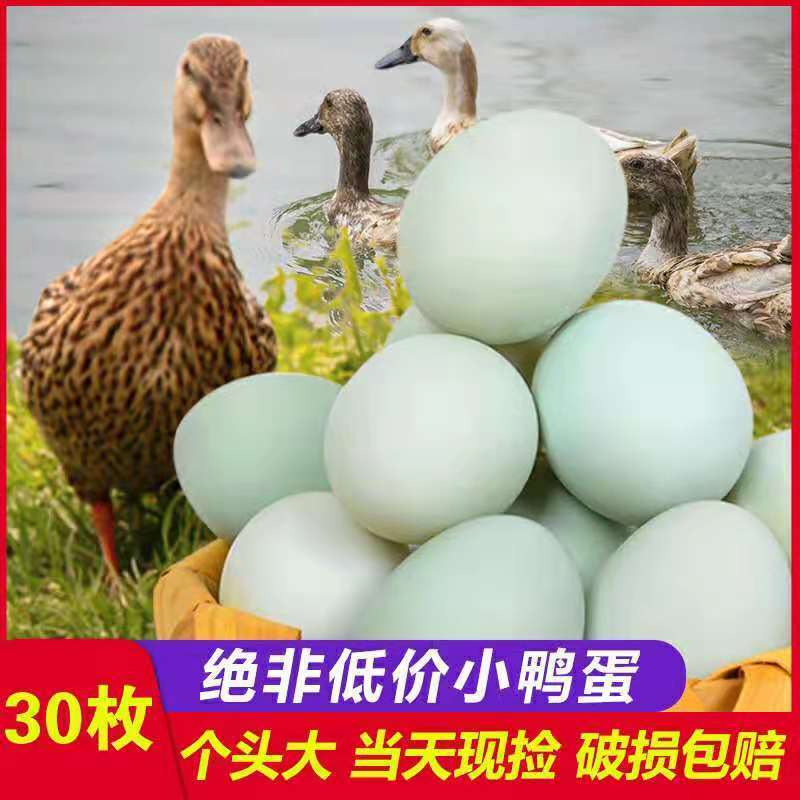 农村正宗放养土鸭蛋新鲜散养鸭蛋新鲜农家绿壳鸭蛋70克大个生鸭蛋 水产肉类/新鲜蔬果/熟食 鸭蛋 原图主图