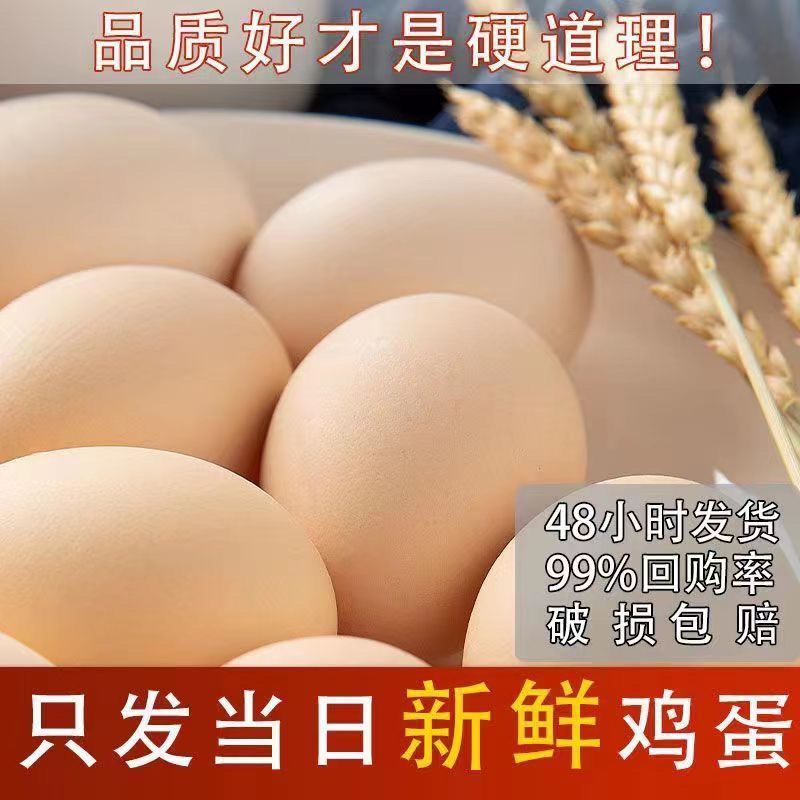 农家散养土鸡蛋40枚整箱包邮正宗新鲜草鸡蛋非初生蛋新鲜土鸡蛋