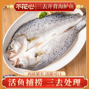 不花心三去开背海鲈鱼活鱼捕捞肉质紧实清蒸鲈鱼带料包