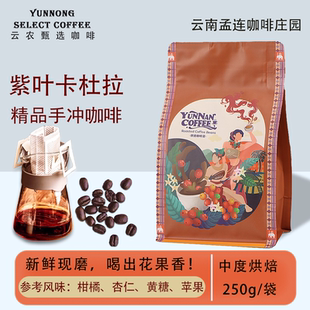 精品手冲咖啡豆孟连产区紫叶卡杜拉庄园铁皮卡单品冷萃美式250g