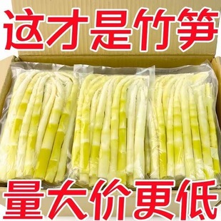 竹笋嫩笋尖当季新鲜小竹笋蔬菜剥笋免切鲜嫩脆批发价江西特产