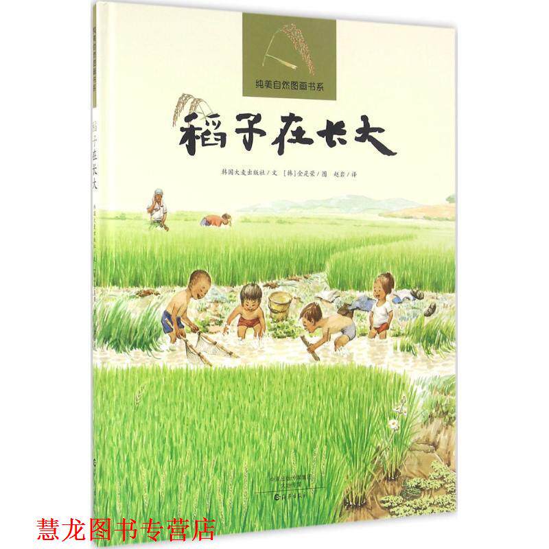 【正版书籍】 纯美自然图画书系 稻子在长大 韩国大麦出版社 海燕出版社