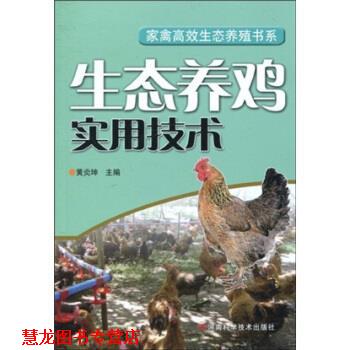 【正版书籍】 生态养鸡实用技术 黄炎坤 著 河南科学技术出版社