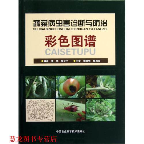 【正版书籍】 蔬菜病虫害诊断与防治彩色图谱 董伟 编 中国农业科学技术出版社