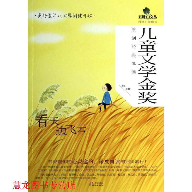 【正版书籍】 儿童文学金奖原创经典悦读:看天边飞云 王蕾 著