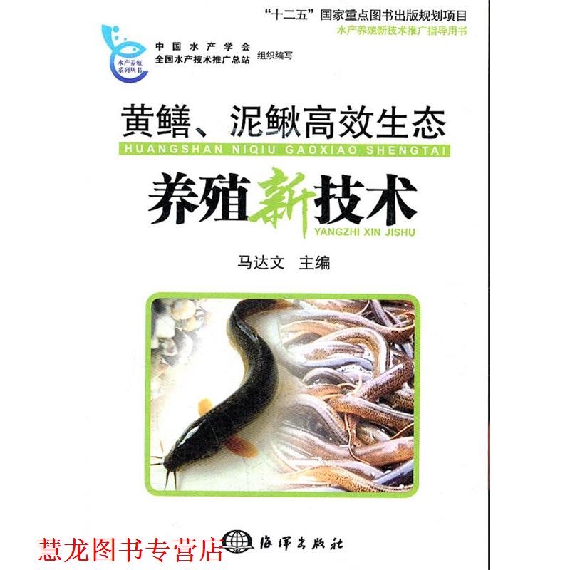 【正版书籍】 黄鳝、泥鳅高效生态养殖新技术 马达文 主编 海洋出版社