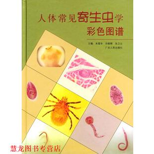【正版书籍】 人体常见寄生虫学彩色图谱 朱爱辛,孙朝晖,张卫云 著 广东人民出版社