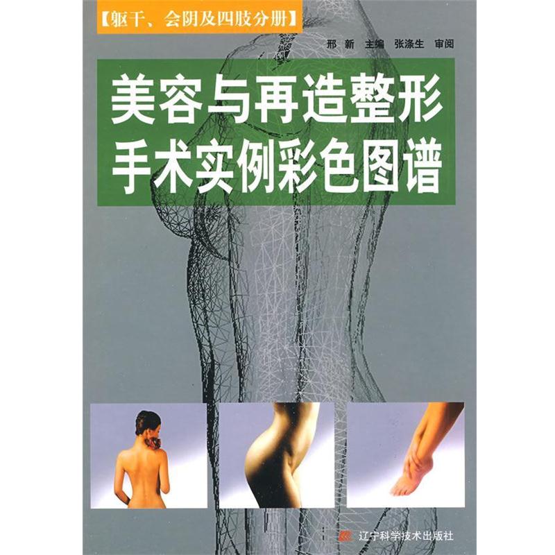 【正版书籍】 美容与再造整形手术实例彩色图谱 邢新 主编 辽宁科学技术出版社