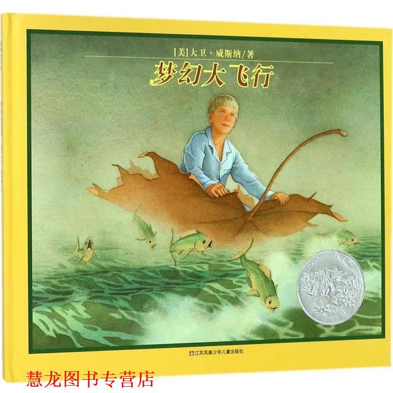 【正版书籍】 凯迪克银奖绘本：梦幻大飞行 [美]大卫·威斯纳 江苏少年儿童出版社