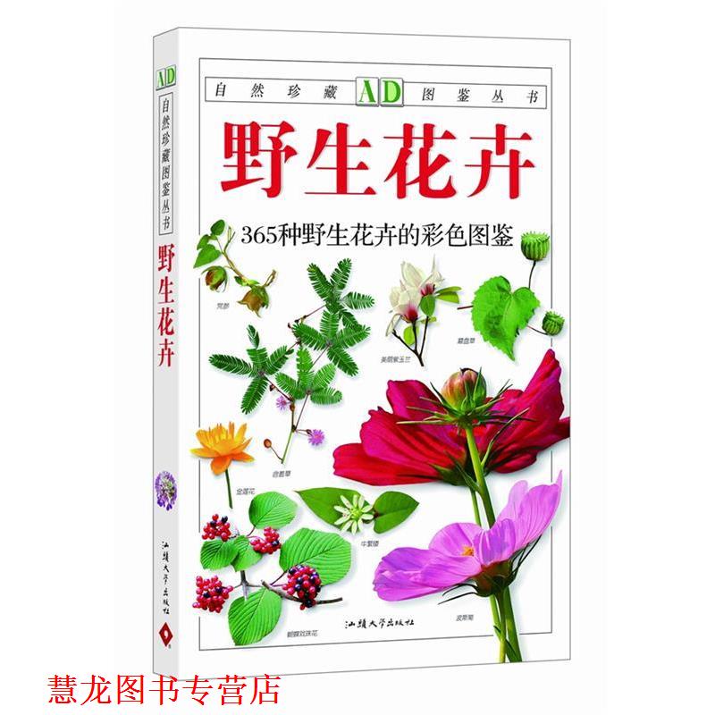 【正版书籍】 野生花卉:365种野生花卉的彩色图鉴—自然珍藏图鉴丛书 江珊 汕头大学出版社